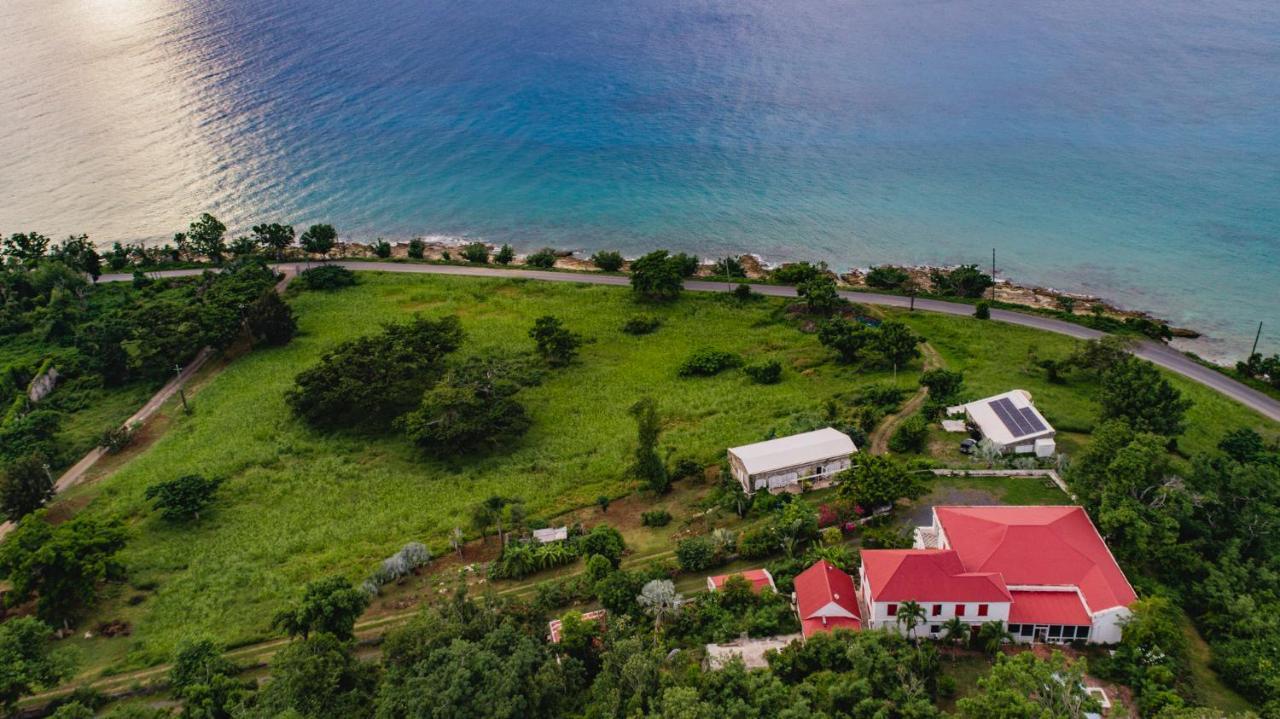 Feather Leaf Inn Frederiksted Exteriér fotografie